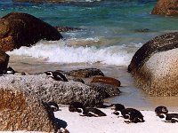 13 - Boulder Beach